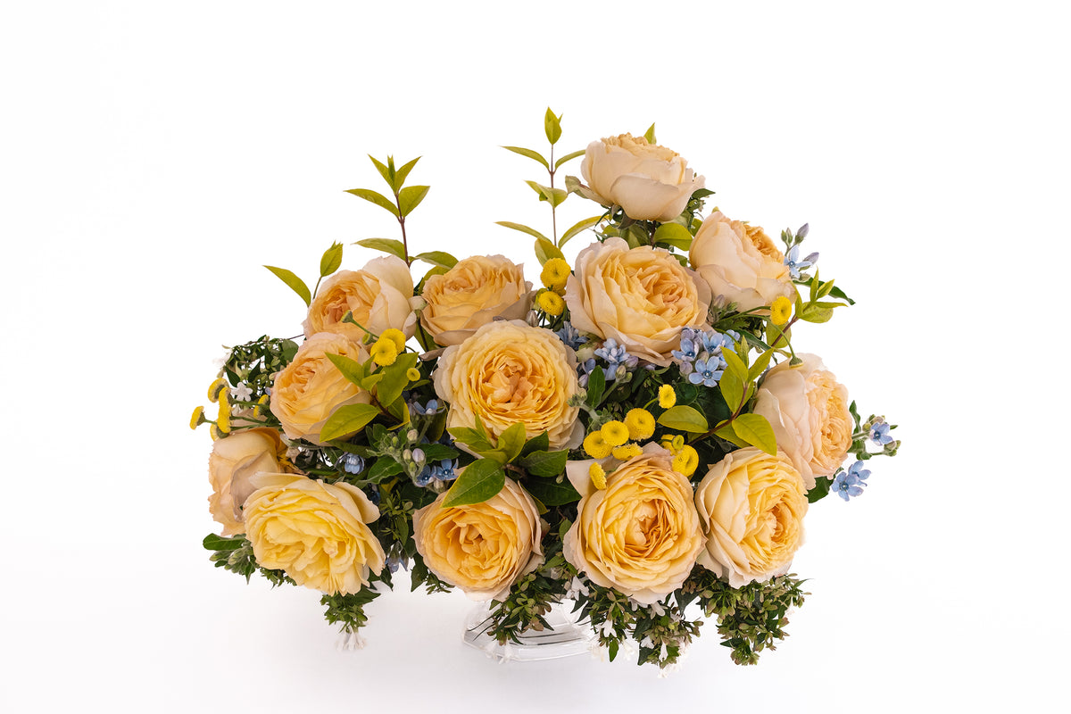 Deluxe & Princess Garden Roses - Caramel Antike | Hope Flower Farm