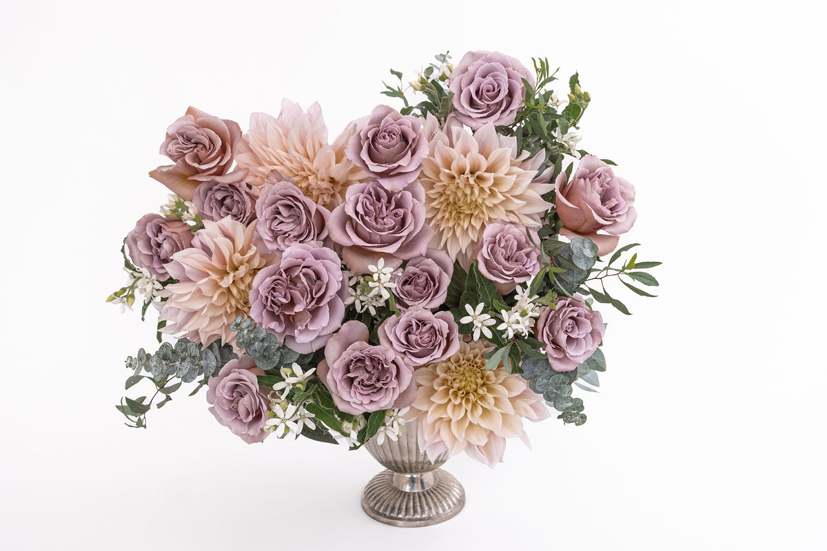 Deluxe & Princess Garden Roses - Café Latte | Hope Flower Farm