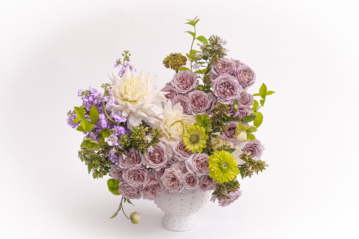 Deluxe & Princess Garden Roses -Loli Spray Rose | Hope Flower Farm