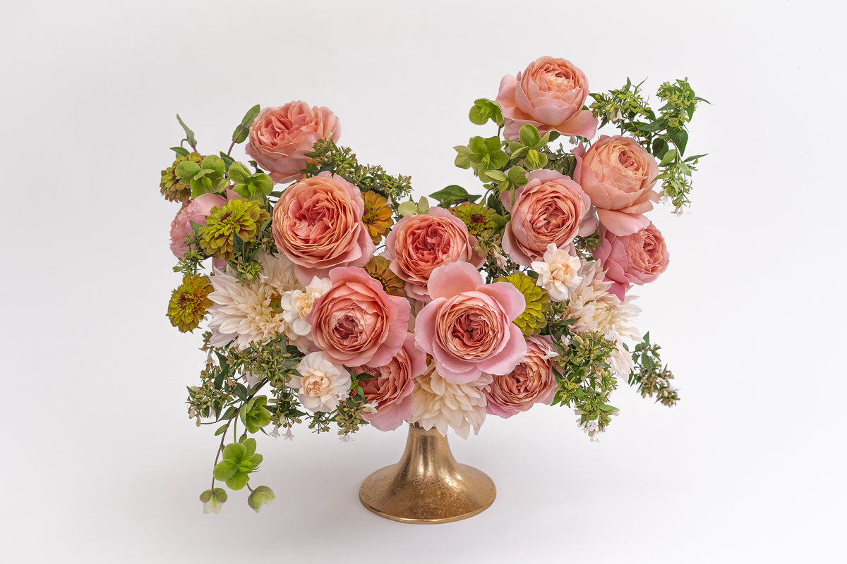 Deluxe & Princess Garden Roses - Romantic Antike | Hope Flower Farm