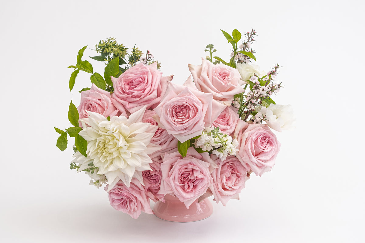 Deluxe & Princess Garden Roses - Pink O'Hara | Hope Flower Farm