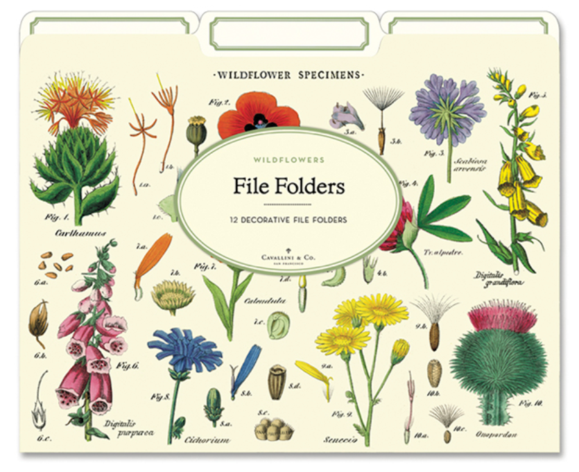 Wild Flowers File Folders