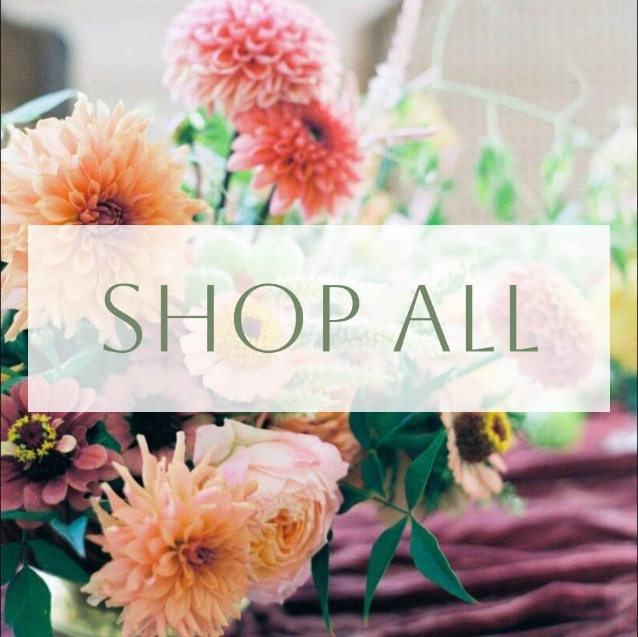 Shop All