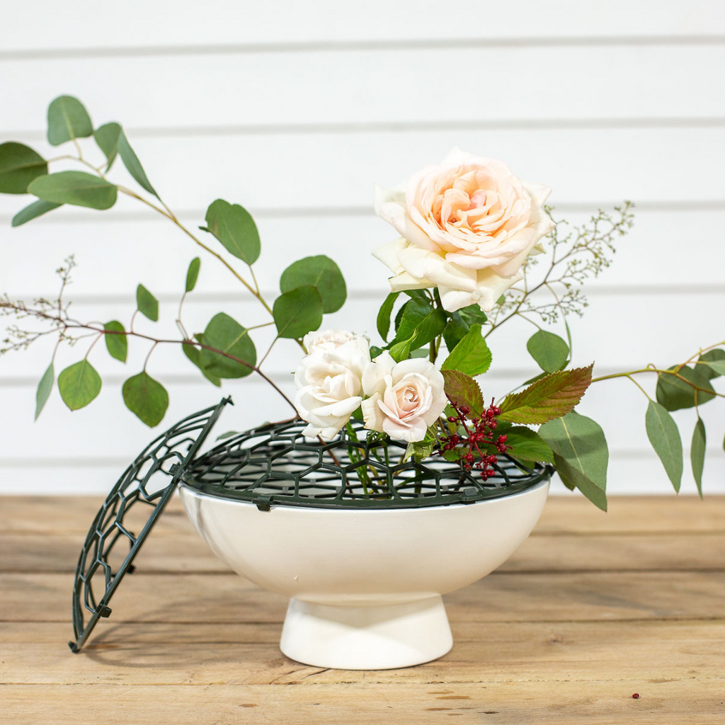 Holly heider best sale chapple pillow