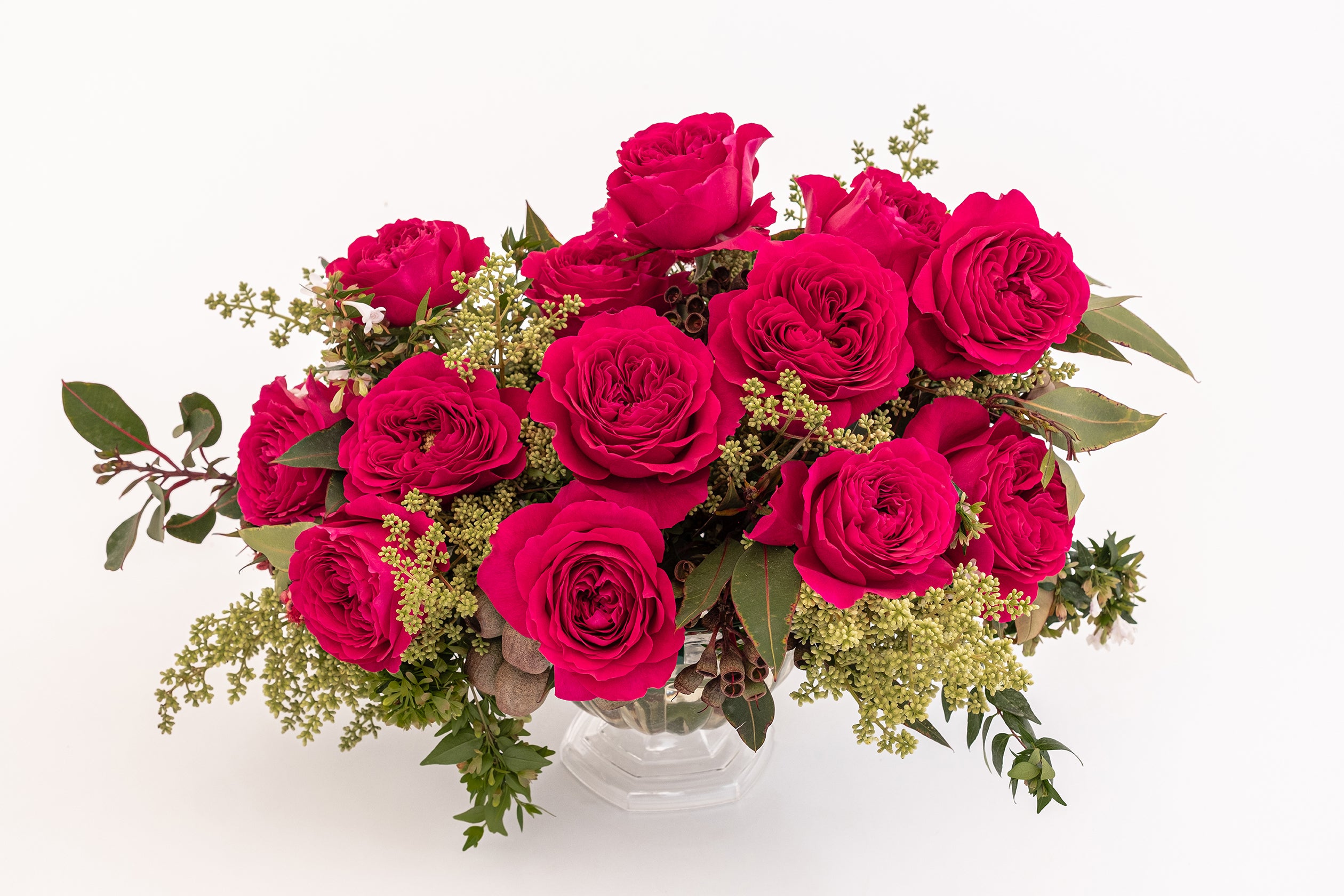 Darcey David Austin Garden Rose | Hope Flower Farm