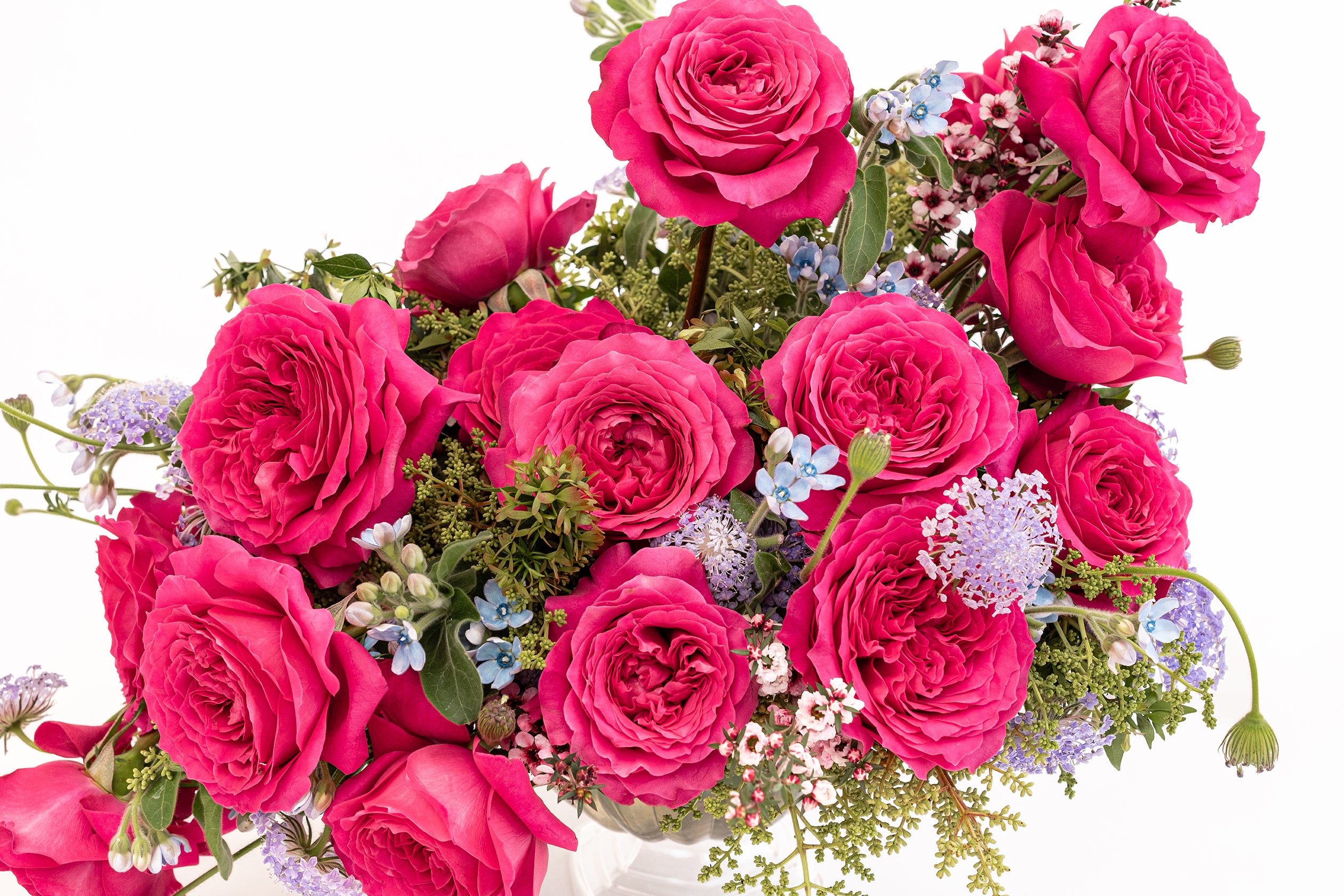 happy roseです。 Rose Deep Purple 50cm - Wholesale - Blooms By The Box