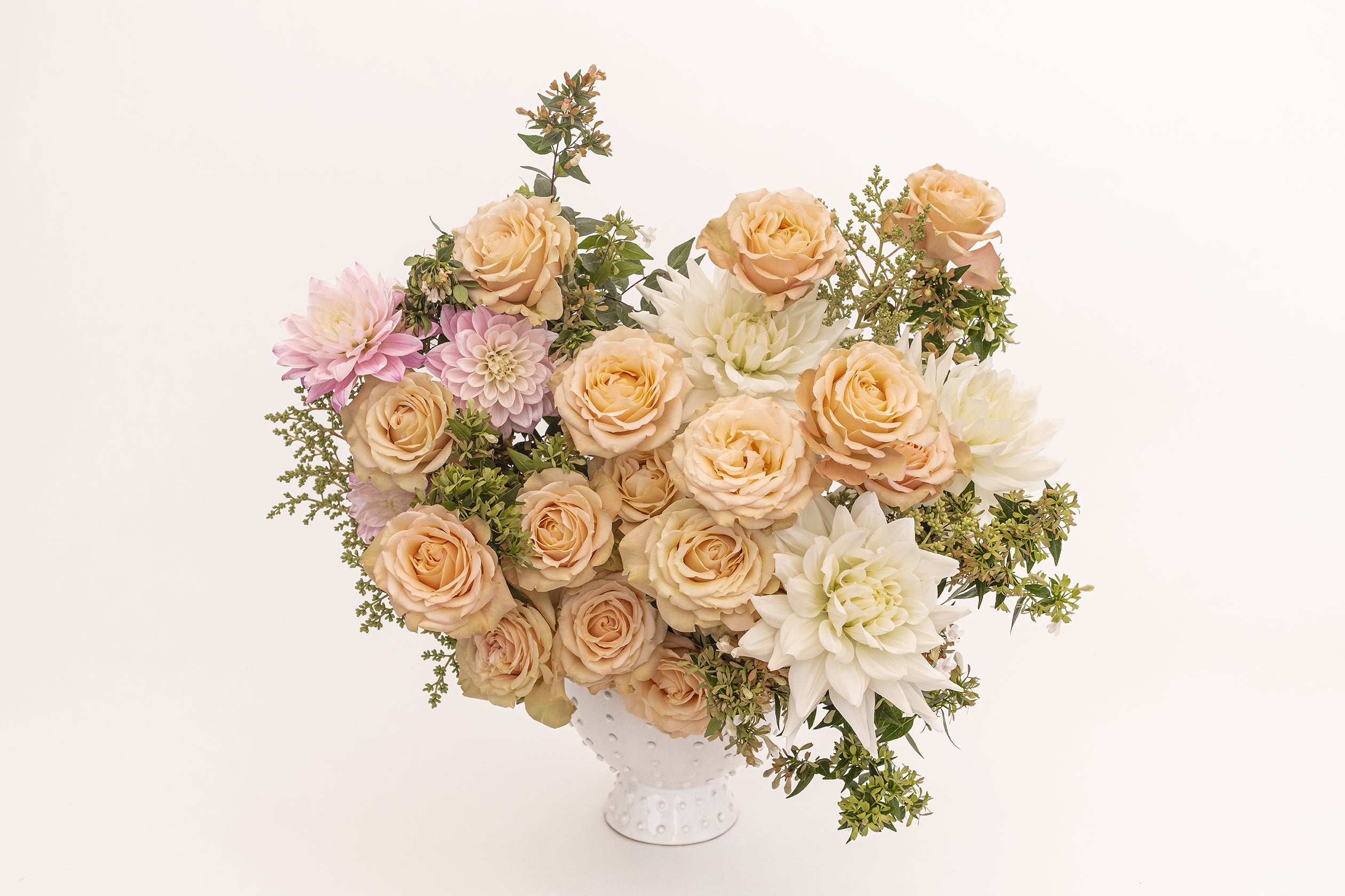 【希少】SAYS FARM IYASA A ROSE 2023 希少】SAYS FARM IYASA A ROSE 2023 希少】SAYS FARM IYASA A ROSE 2023