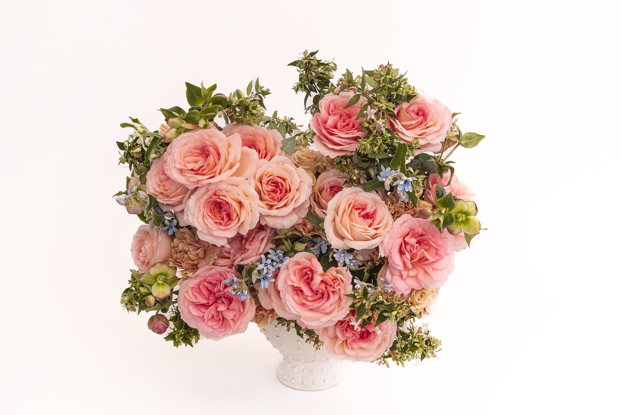 ROSE☆ROSE Pink Rose Garden - Flower Delivery NYC - plantshed.com