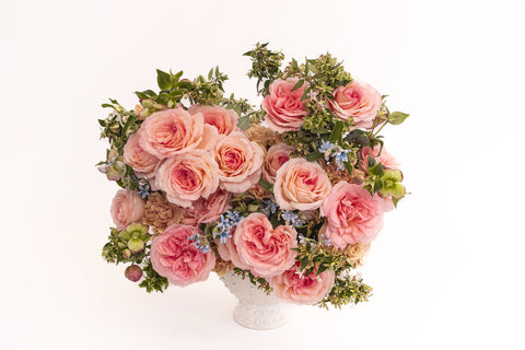 スカート MILK Garden Rose SK Garden Spray Roses - Garden Roses Direct