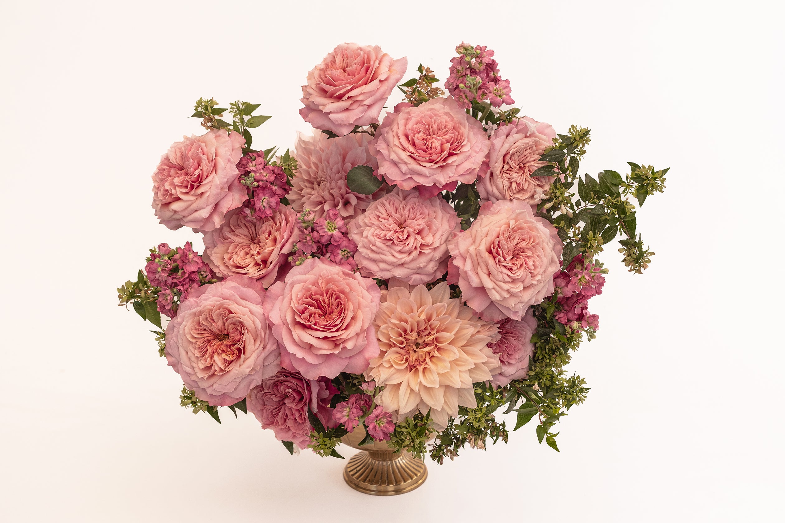 roseページ 5048DF4E-ED66-402A-95A8-