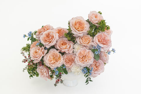 Deluxe & Princess Garden Roses - Miyabi Brown | Hope Flower Farm