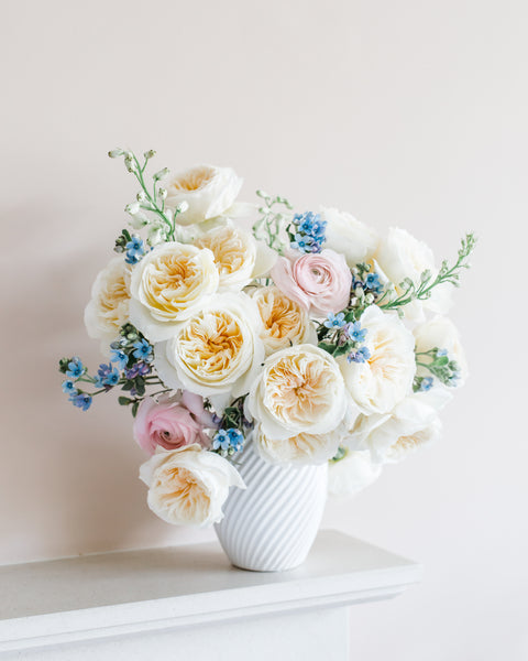 Bessie David Austin Garden Rose | Hope Flower Farm