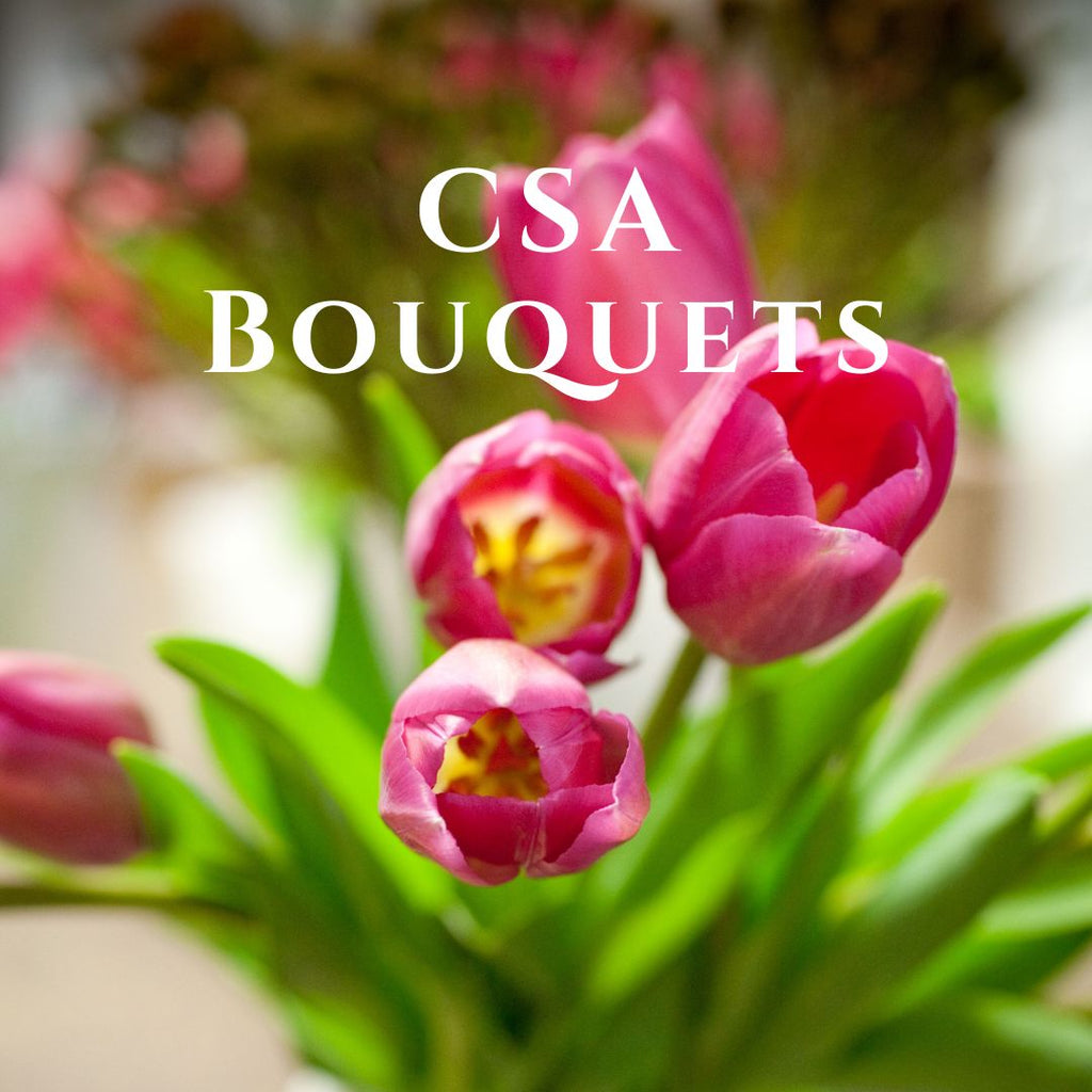 CSA Seasonal Flower Subscription