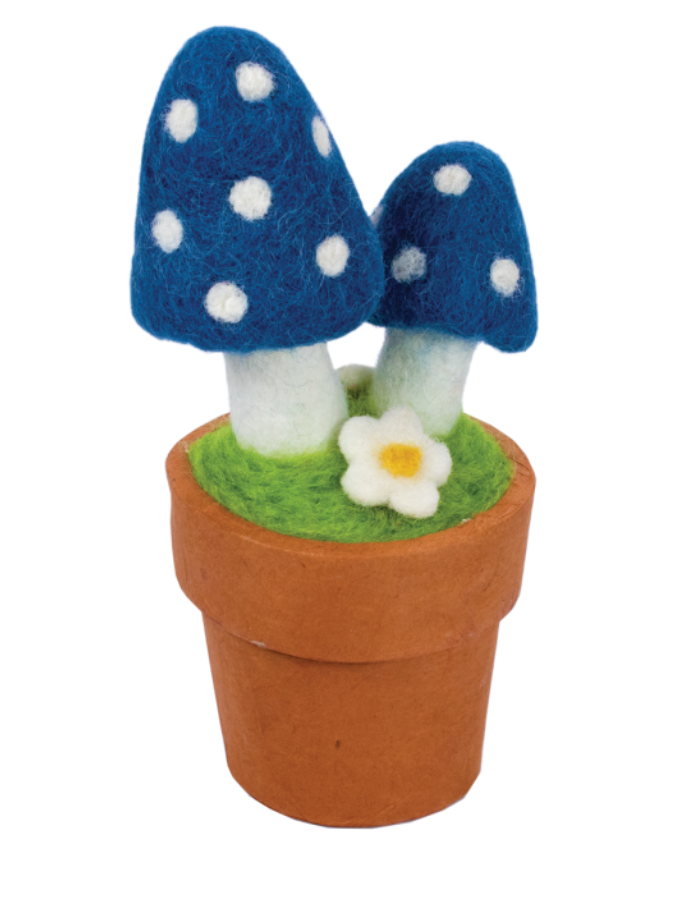 Blue Magic Mushroom Potted Plant