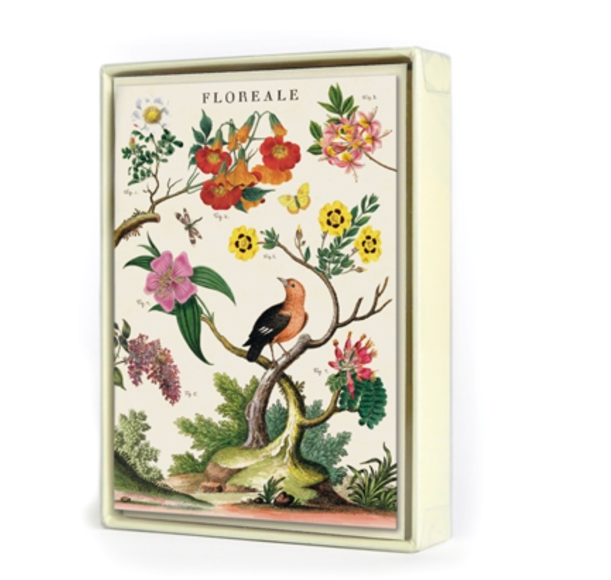 Floreale Boxed Note Cards