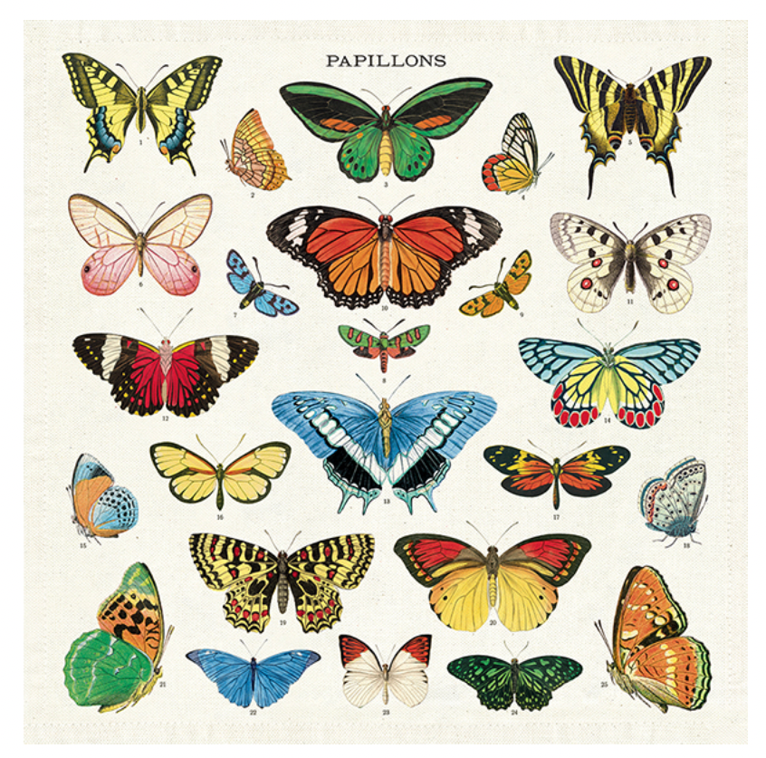 Vintage Cloth Napkins - Butterflies