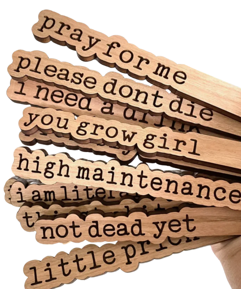 Punny Plant Stakes - Pray For Me