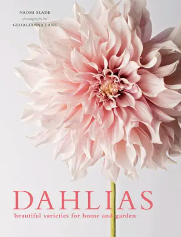 Book - Dahlias; Beautiful Varieties For Home & Garden (Hardcover)
