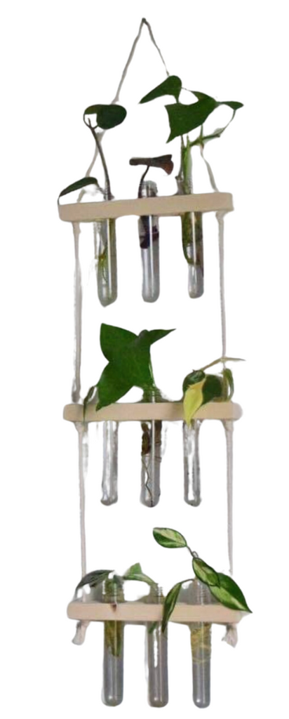 Hanging Propagation Station | Wall Vase - Unstained