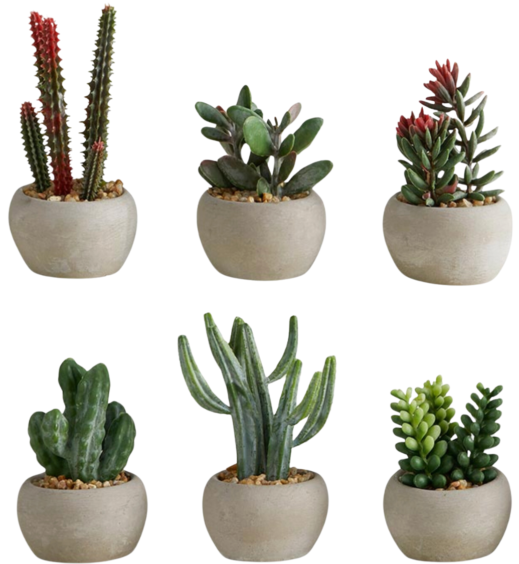 faux succulent in cement pot Succulent in Cement Pot - Variety