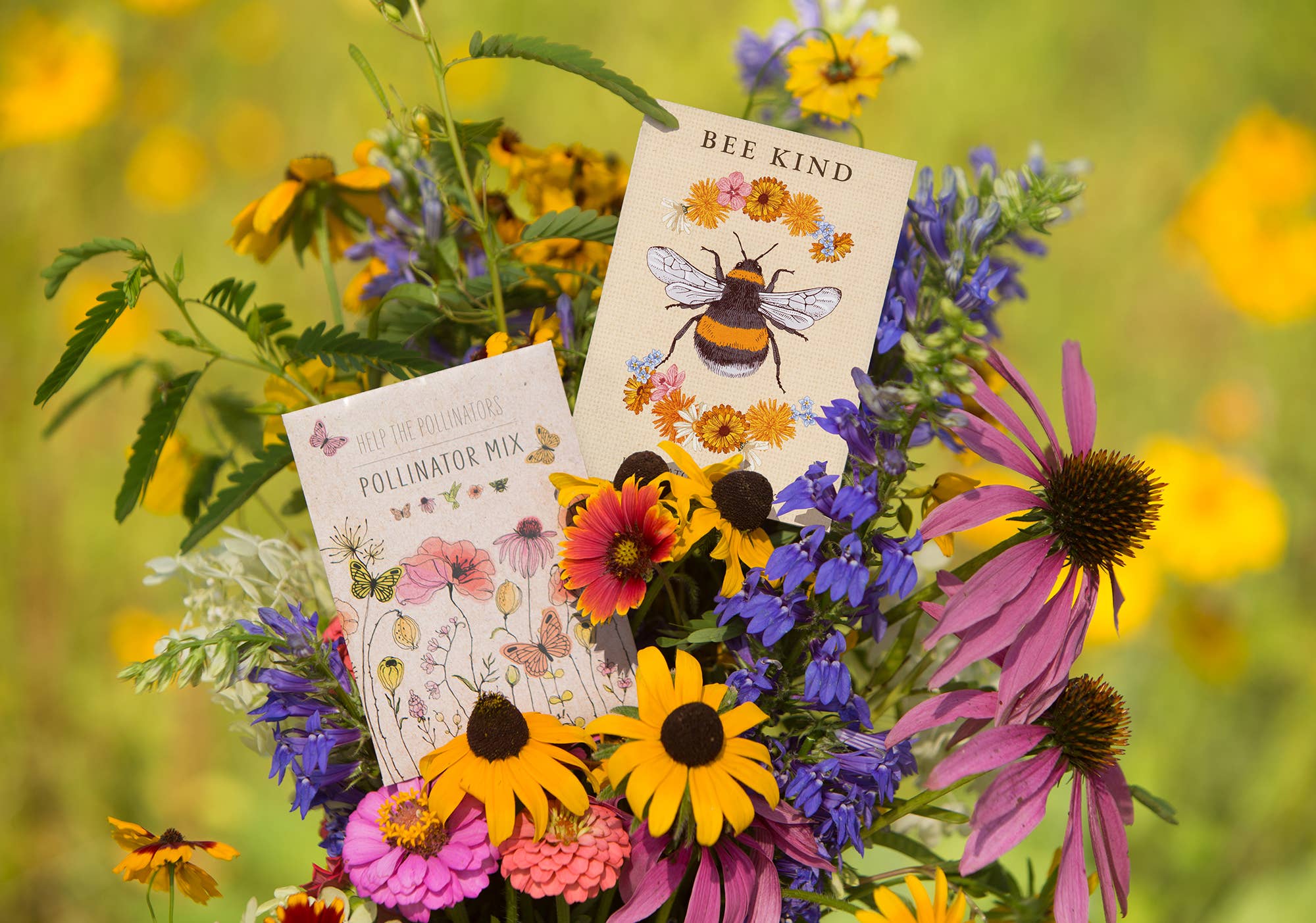 seeds for bee garden Bee Kind