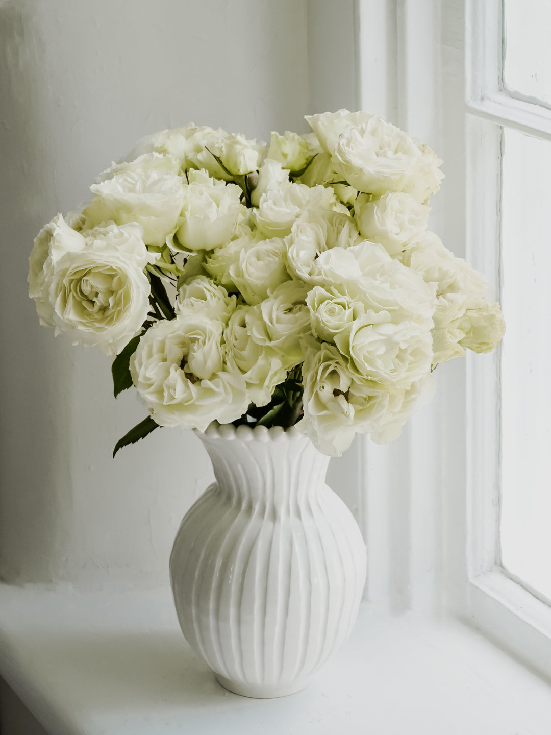 white garden spray roses Deluxe & Princess Garden Roses