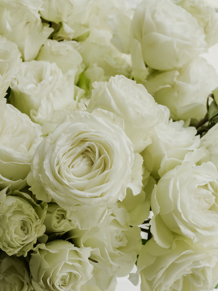 Deluxe & Princess Garden Roses - Blanche Spray in White