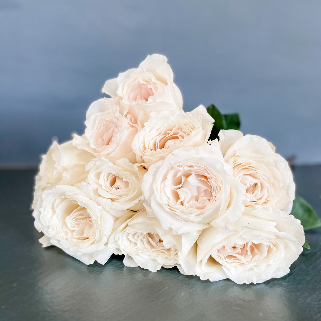 Deluxe & Princess Garden Roses - Princess Miyuki in White