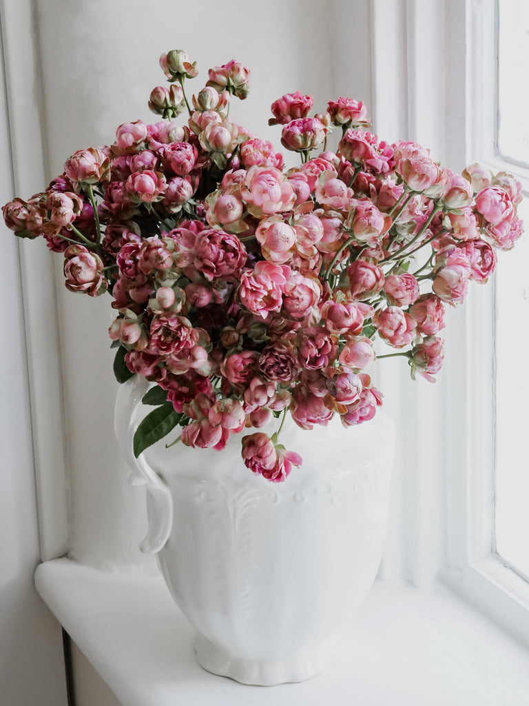 garden rose vs spray rose Deluxe & Princess Garden Roses - Princess Pinku Spray in Medium Pink