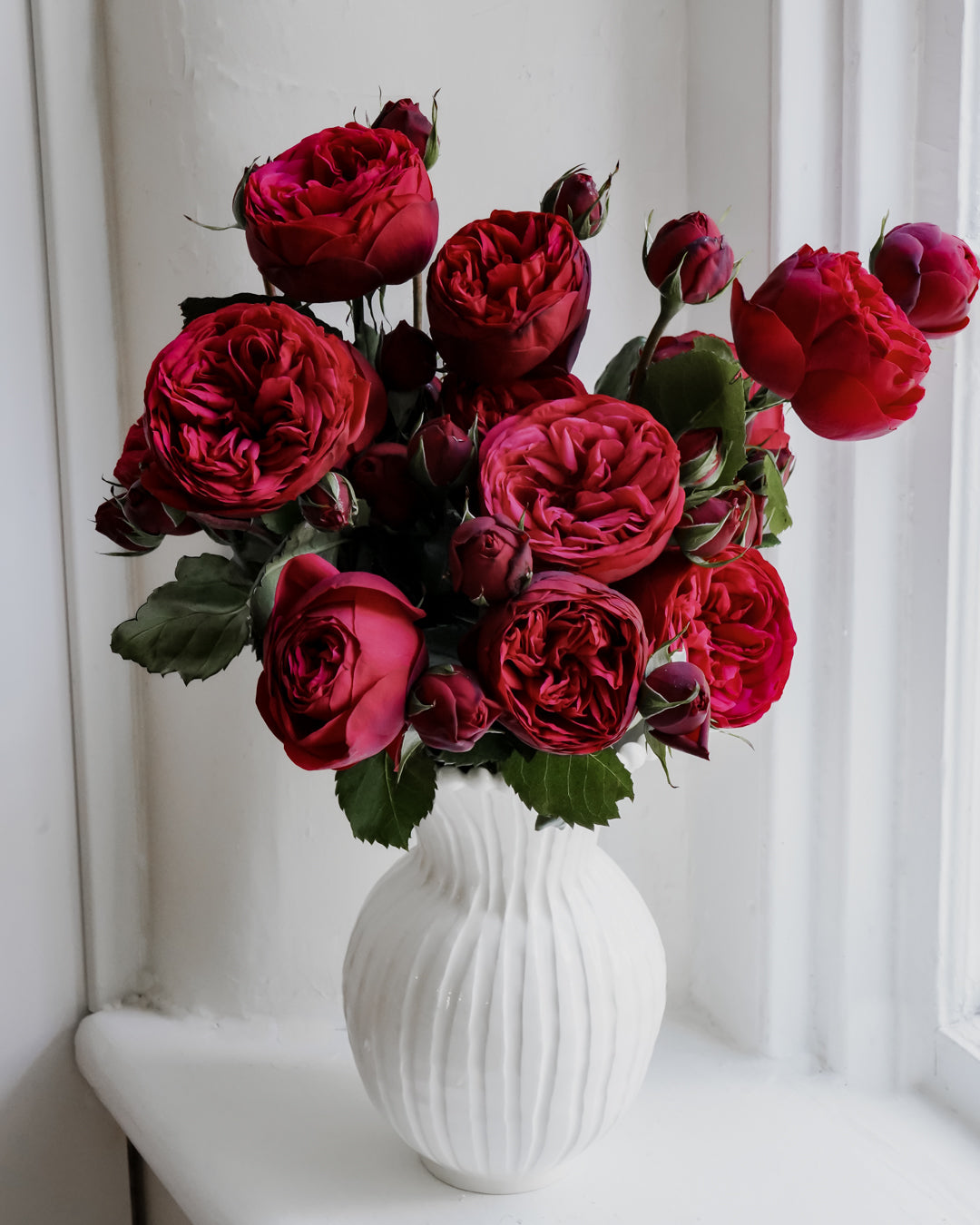 Deluxe & Princess Garden Roses - Piano in Red | Hope Flower Farm