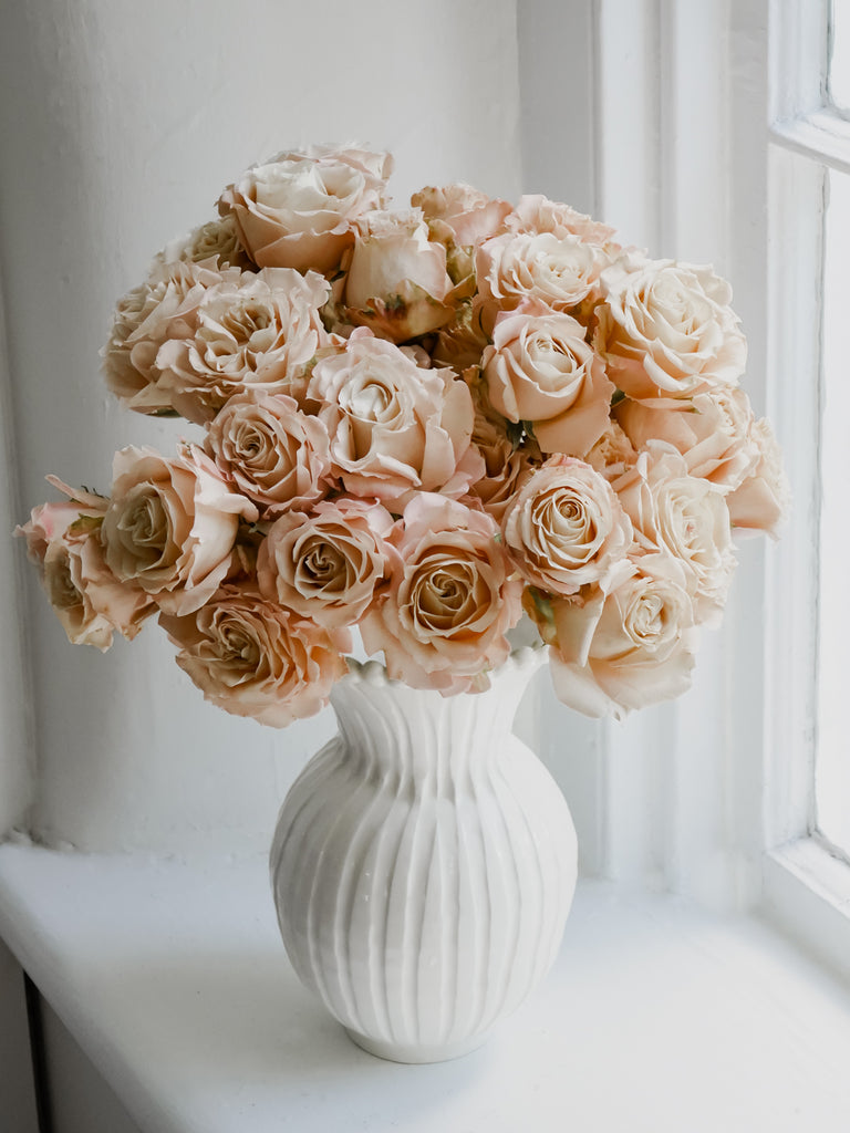 Roses | Hope Flower Farm
