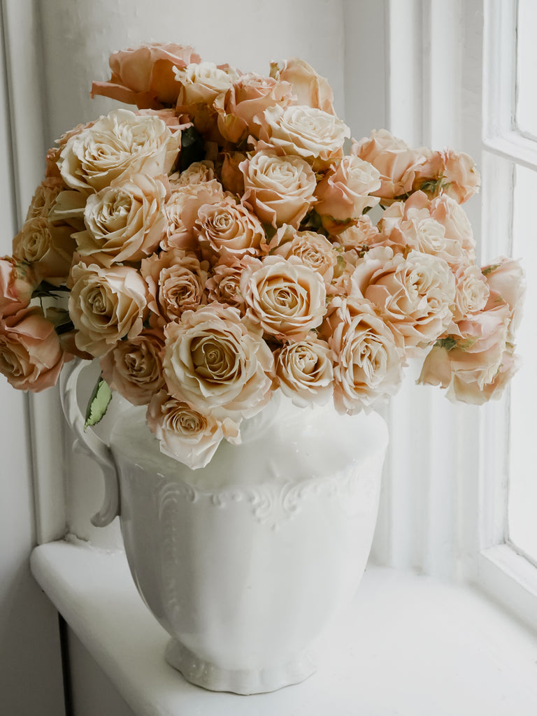 Farmhouse Roses Roses | Hope Flower Farm
