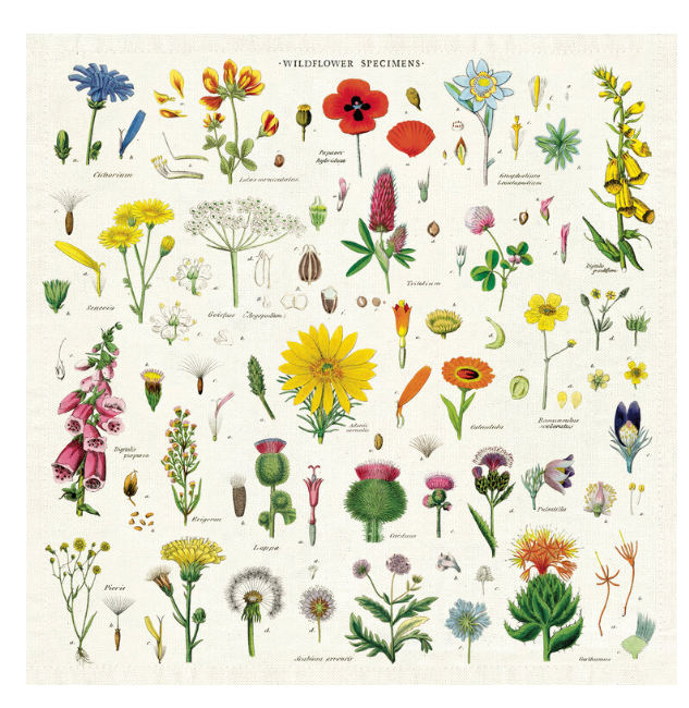 Vintage Cloth Napkins - Wildflowers