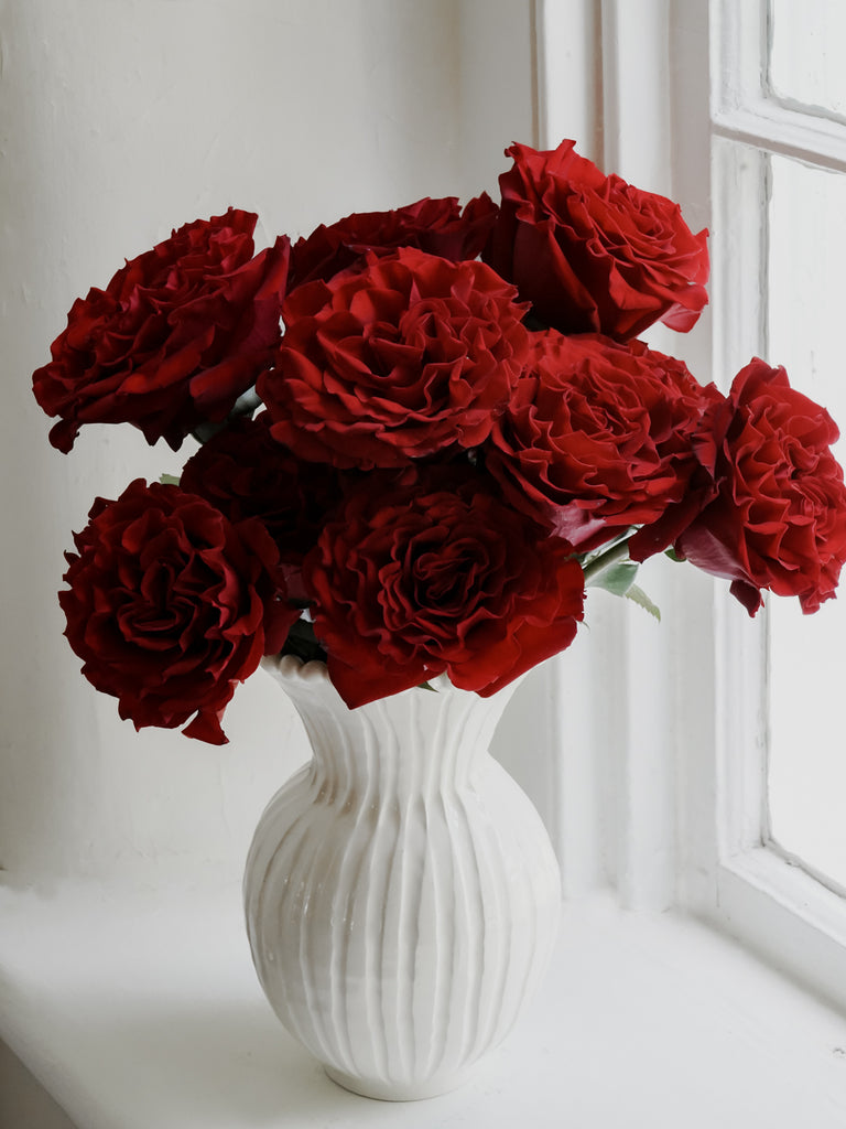 Deluxe & Princess Garden Roses - Wanted in Red