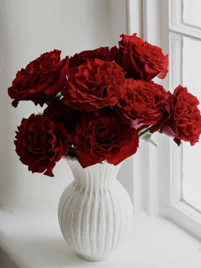 Deluxe & Princess Garden Roses - Wanted in Red | Hope Flower Farm