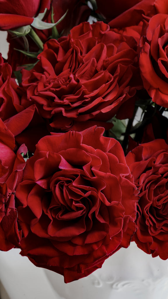 Roses | Hope Flower Farm