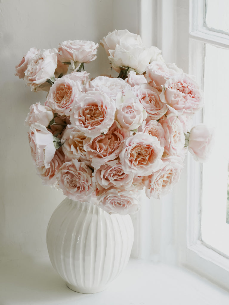 Rowena Roses Deluxe & Princess Garden Roses - Wedding Rosever Spray in Light Pink ...