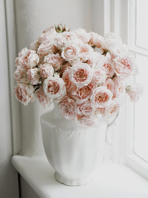 Deluxe & Princess Garden Roses - Wedding Rosever Spray in Light