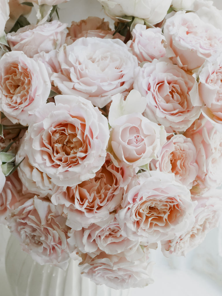 Deluxe & Princess Garden Roses - Wedding Rosever Spray in Light Pink