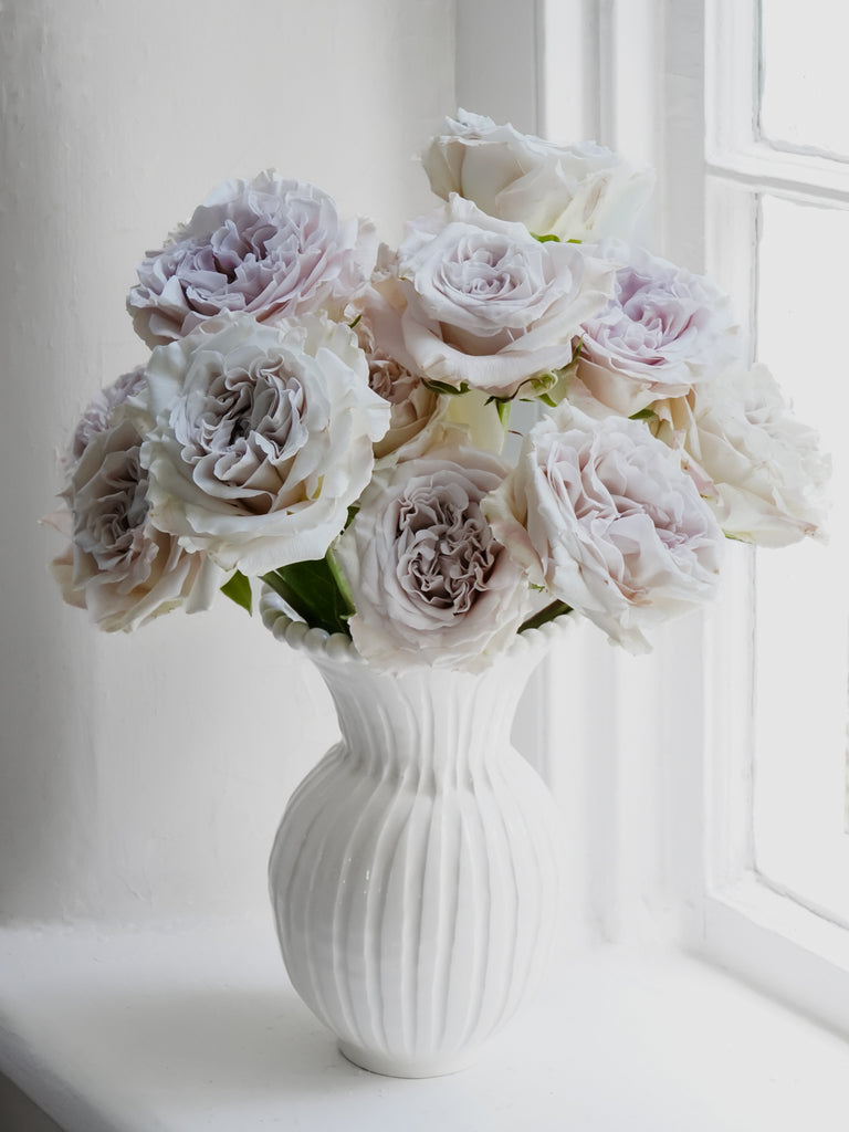 Deluxe & Princess Garden Roses - Westminster Abbey in Silver