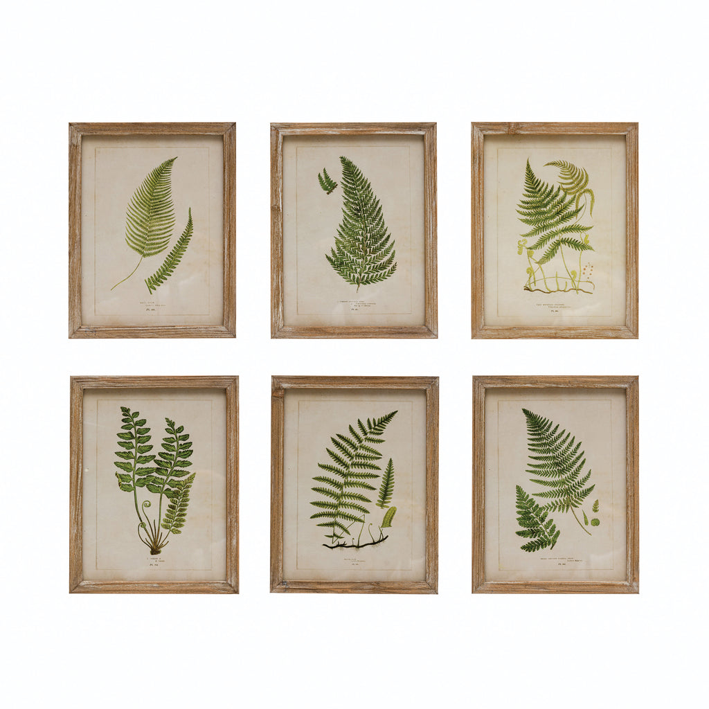 Botanic Leaf Prints With Rustic Wood Frames - Set of 6 - Woodwaves